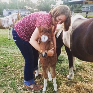 Meet your Posher, Jane